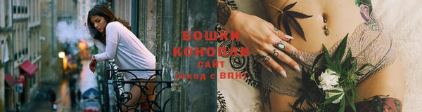 спиды Заводоуковск