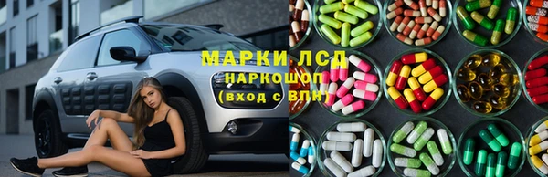 спиды Заводоуковск