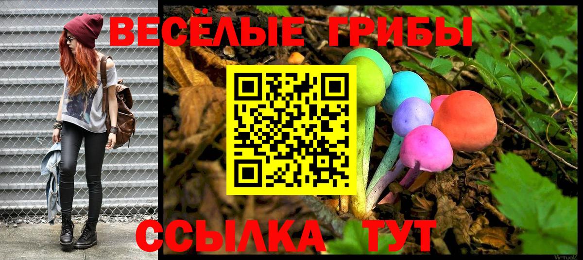 Избербаш  наркота  Вход с VPN  Псилоцибиновые грибы мухоморы 