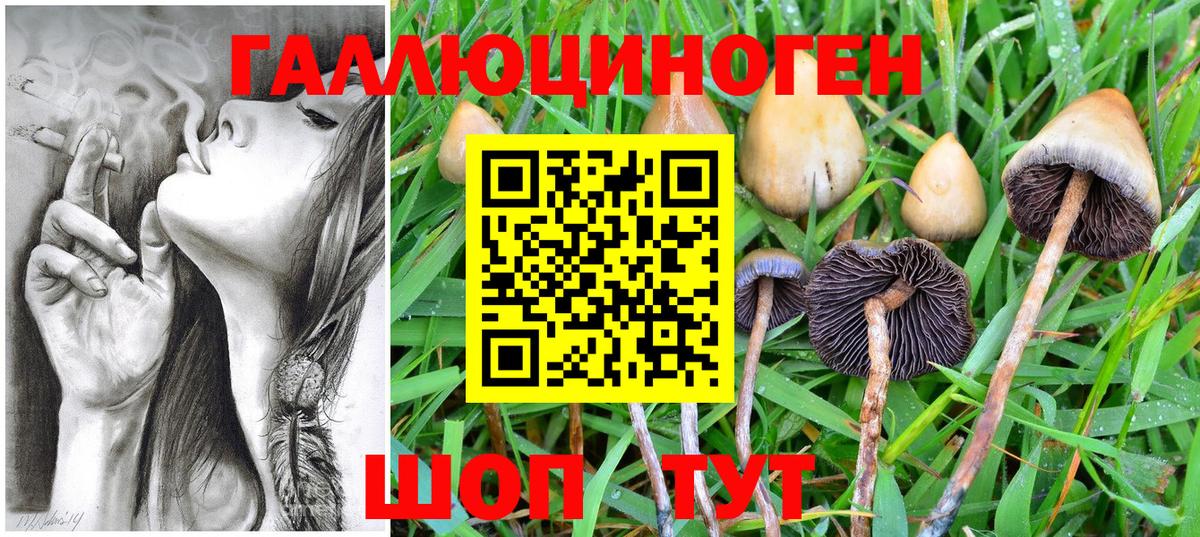 Галлюциногенные грибы Magic Shrooms Избербаш
